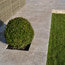 image07