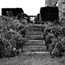 image05